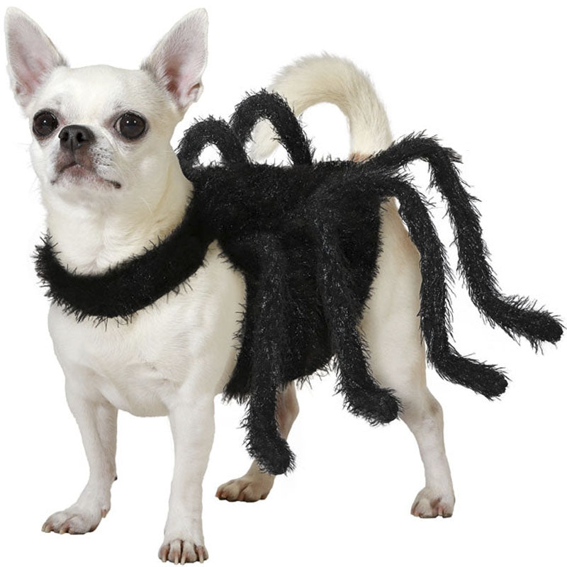 Disfraz de Araña para perro